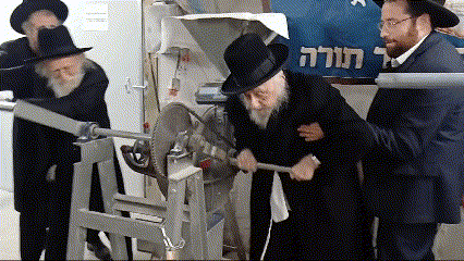 תיעוד נדיר | ראש הישיבה והמקובל הגר"ש גאלי בטחינת חיטים