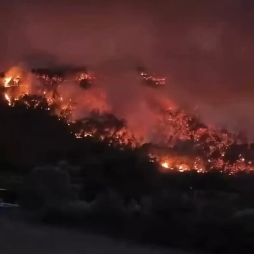 שריפות ענק בטורקיה: עשרות אלפים פונו מאזורי התיירות