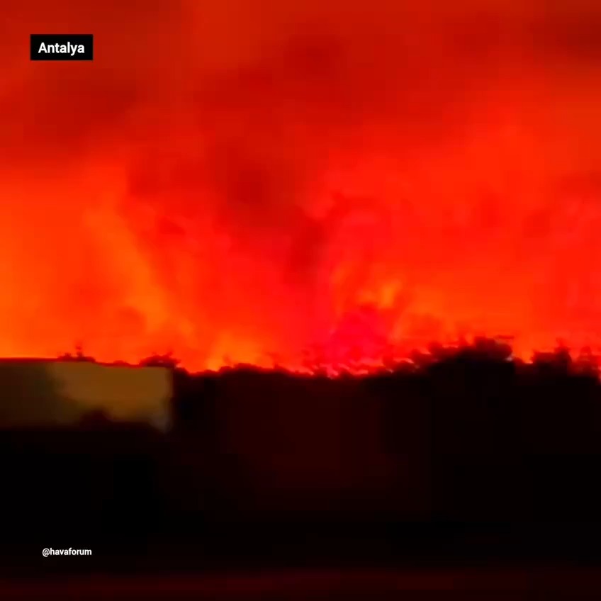 שריפות ענק בטורקיה: עשרות אלפים פונו מאזורי התיירות
