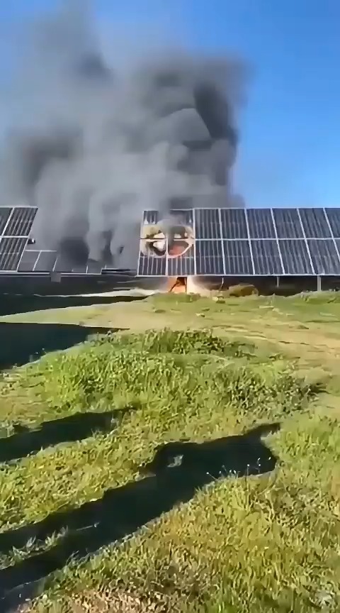 מדבר שהפך לגן עדן: הפתרון המפתיע לבעיה בחווה הסולארית