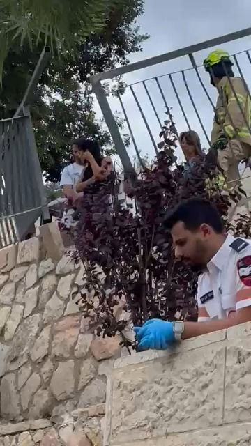 צנחה מגובה 5 מטרים לגינה: חולצה בהכרה מלאה