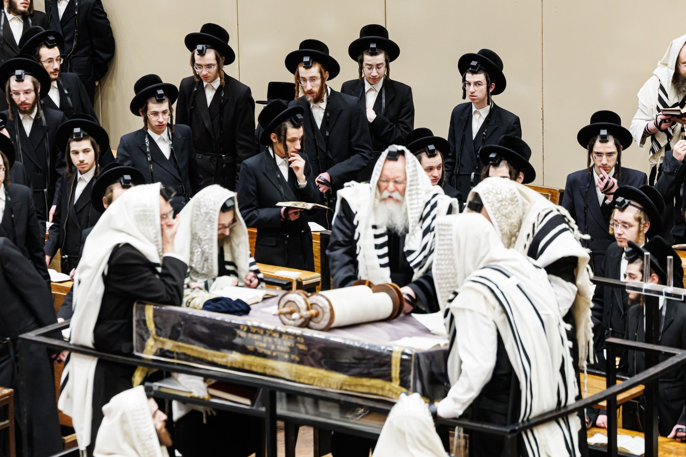 זאת חנוכה בחצה"ק באבוב
