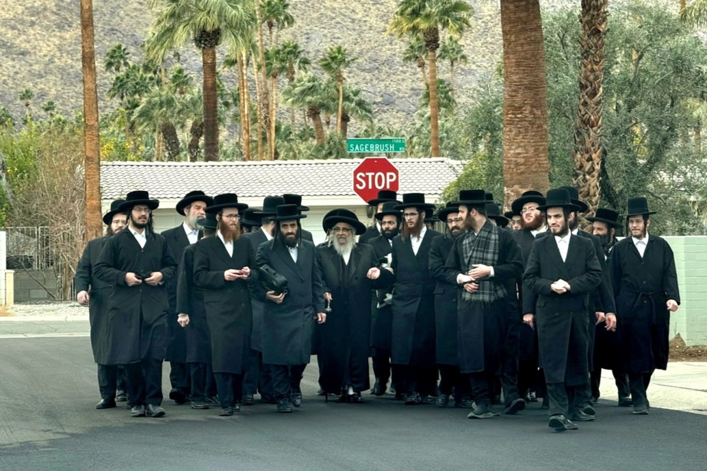האדמו"ר מסאטמר ע"י עצי דקל בפאלם ספרינגס