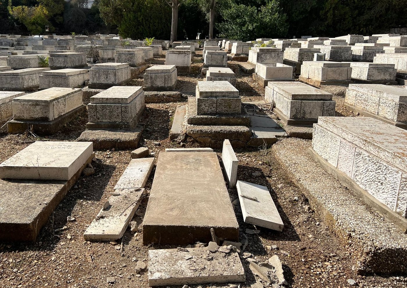 בא הרוג ברגליו: האם בכתה על ארון בנה שמת - ואז הוא הופיע 