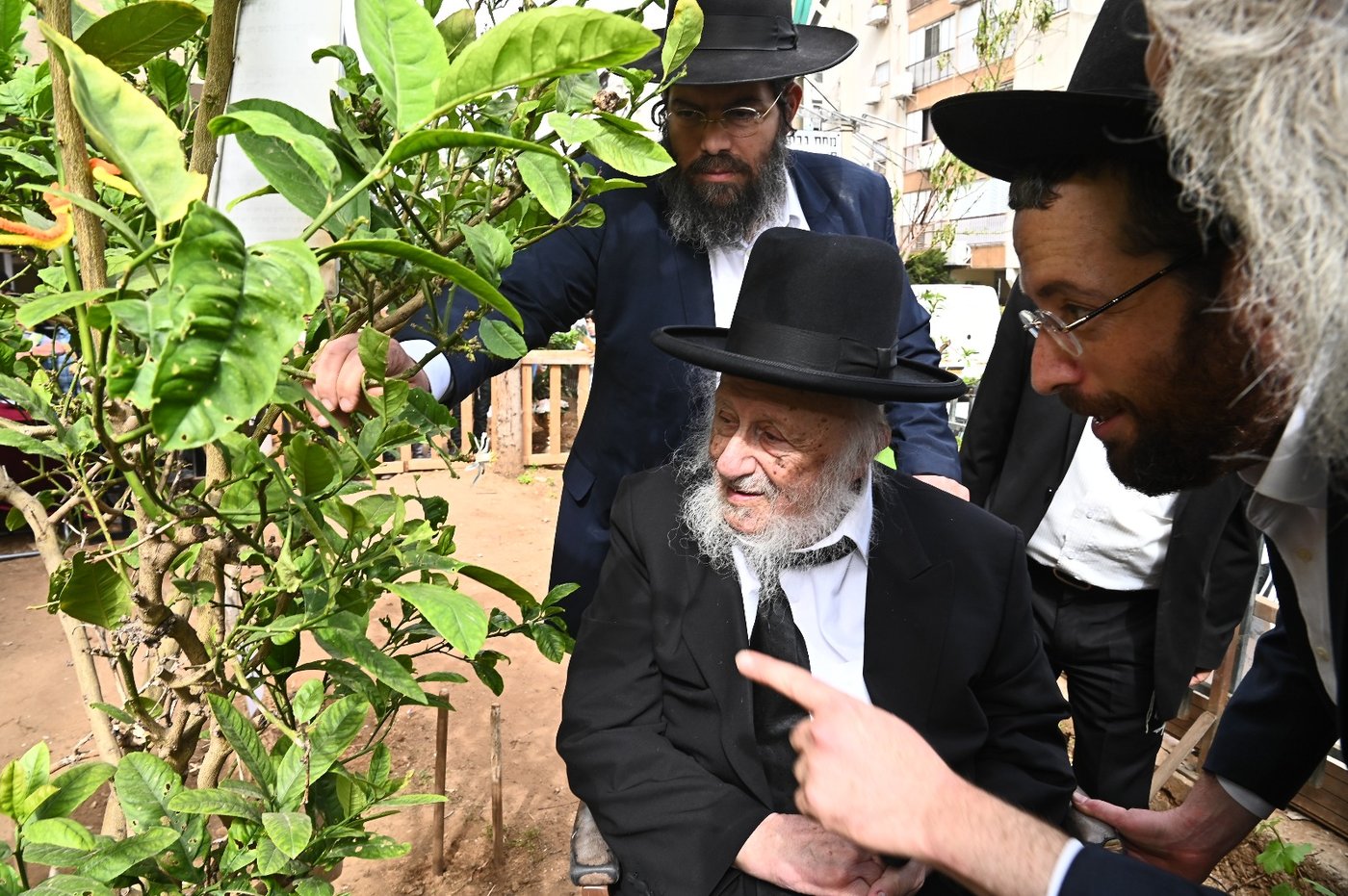 הגרב"ד פוברסקי בברכת האילנות