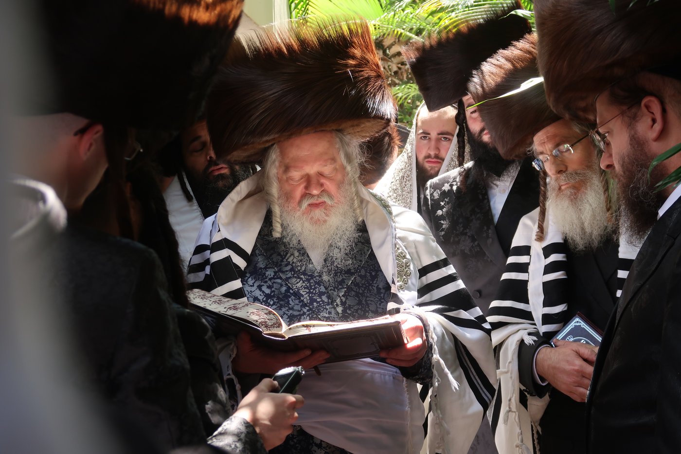 האדמו"ר מפרמישלאן בברכת האילנות
