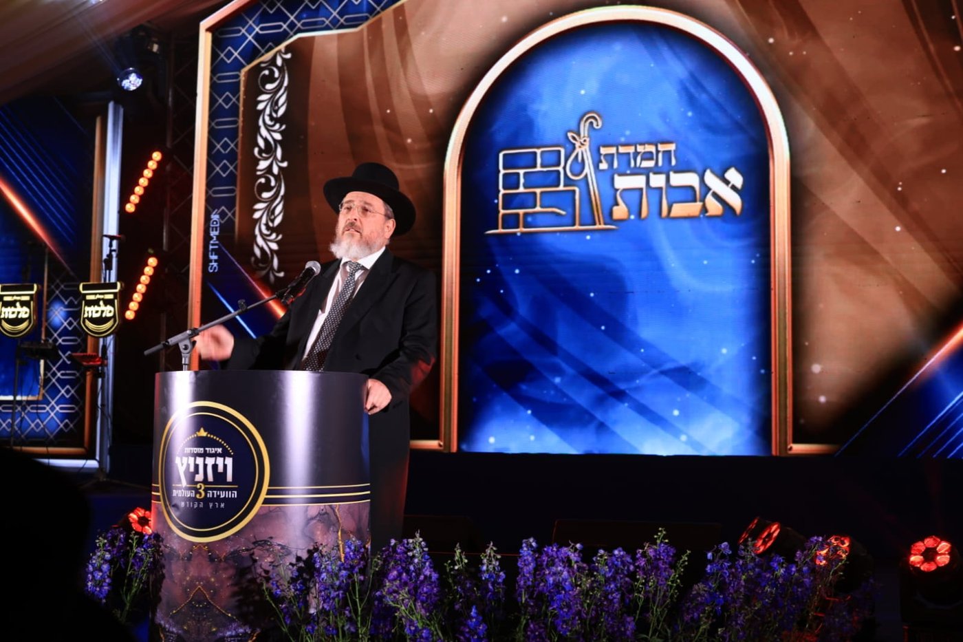 ועידת איגוד מוסדות ויז'ניץ