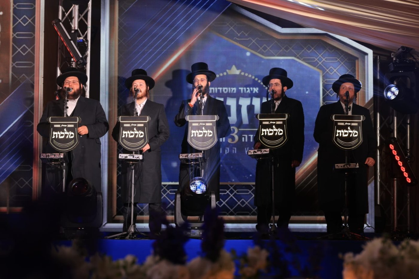ועידת איגוד מוסדות ויז'ניץ