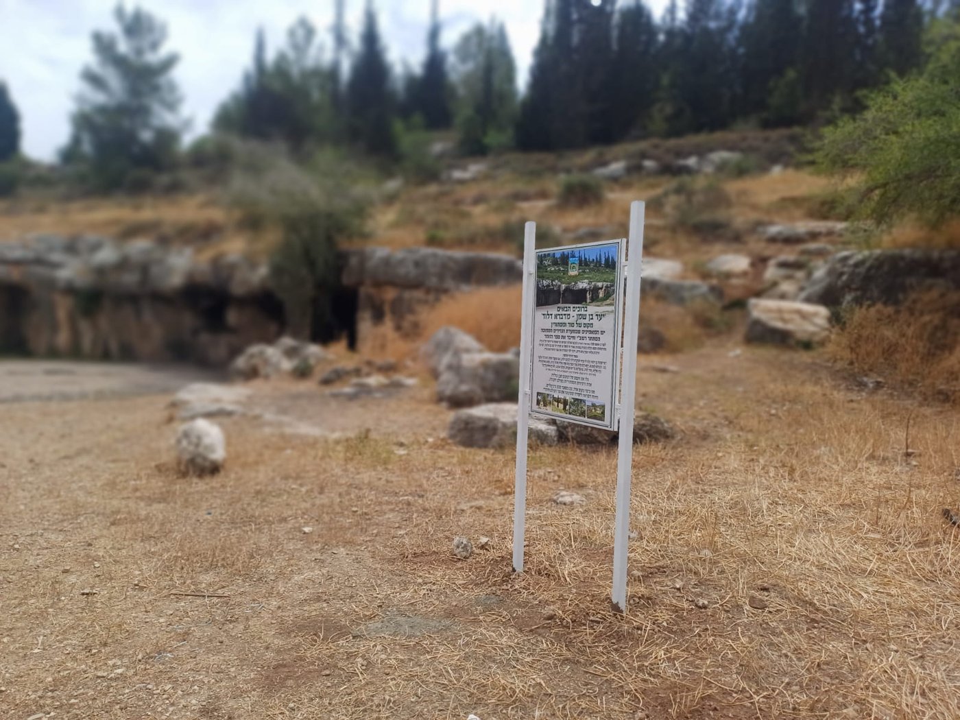 שלט "מדברא דלוד - מערת רשב"י" ביער בן שמן