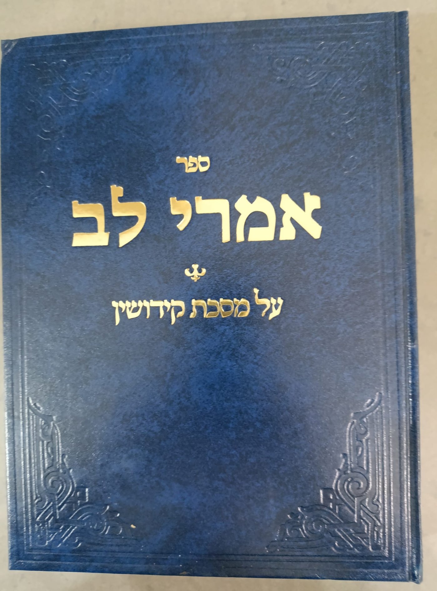 הרב משה הורוביץ אצל האדמו"ר מסאדיגורה