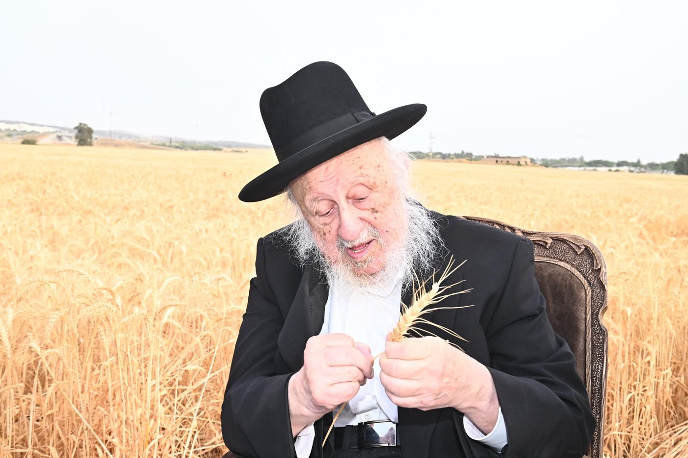 הגרב"ד פוברסקי בקצירת חיטים