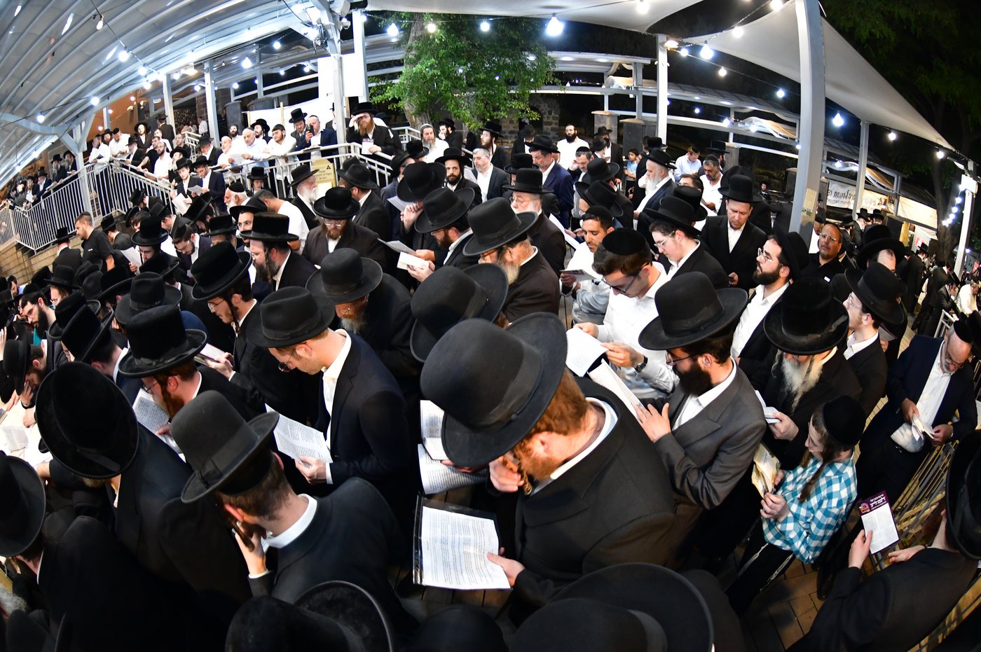 הילולת השל"ה הקדוש