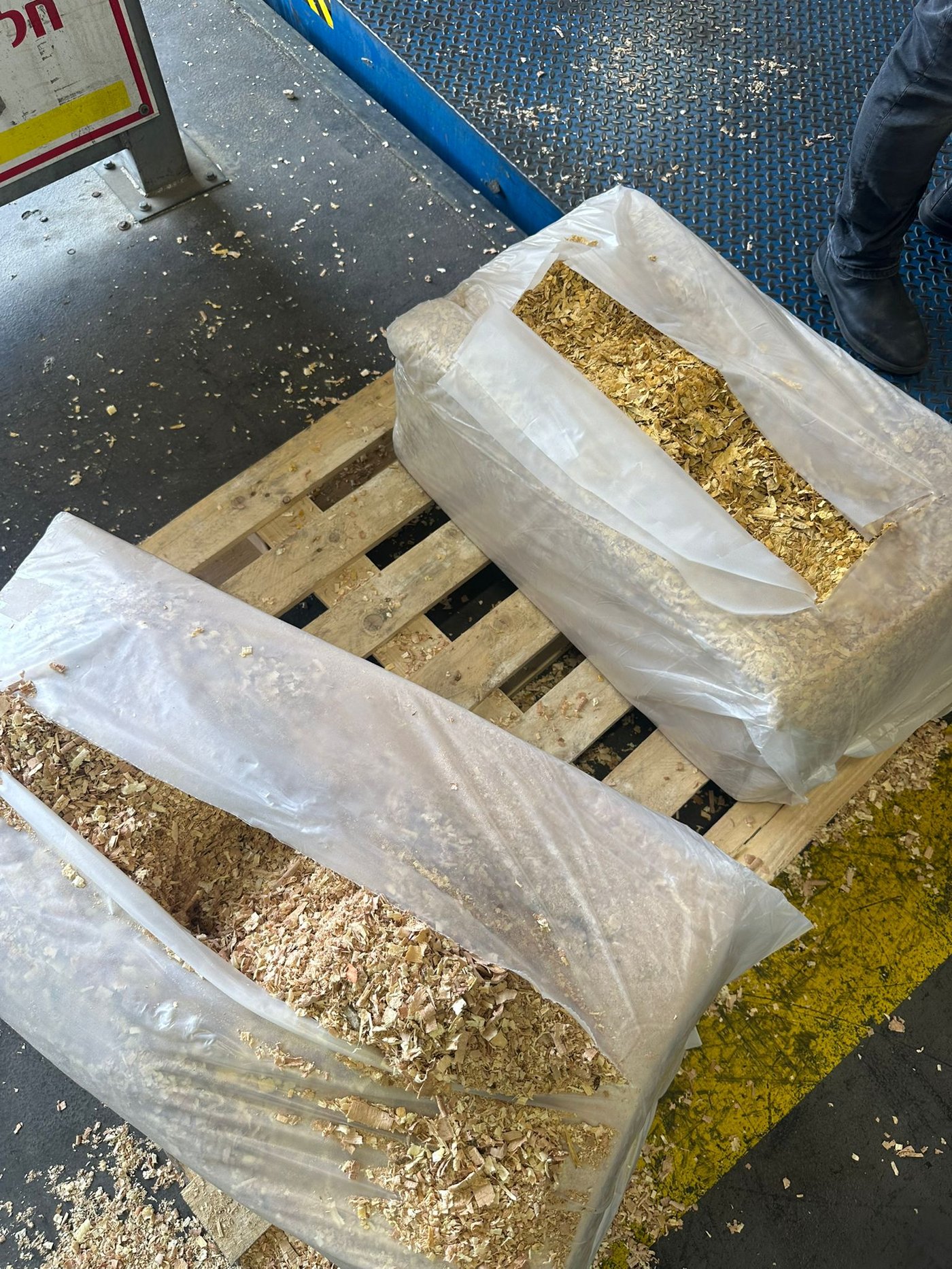 ניסיון ההברחה (הטבק בצד ימין והנסורת בצד שמאל)