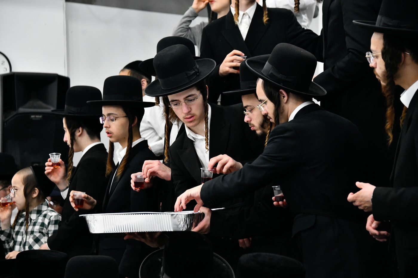 הילולא קדישא במודז'יץ