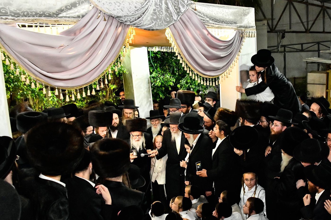 האדמו"ר מאמשינוב בחתונה בבני ברק