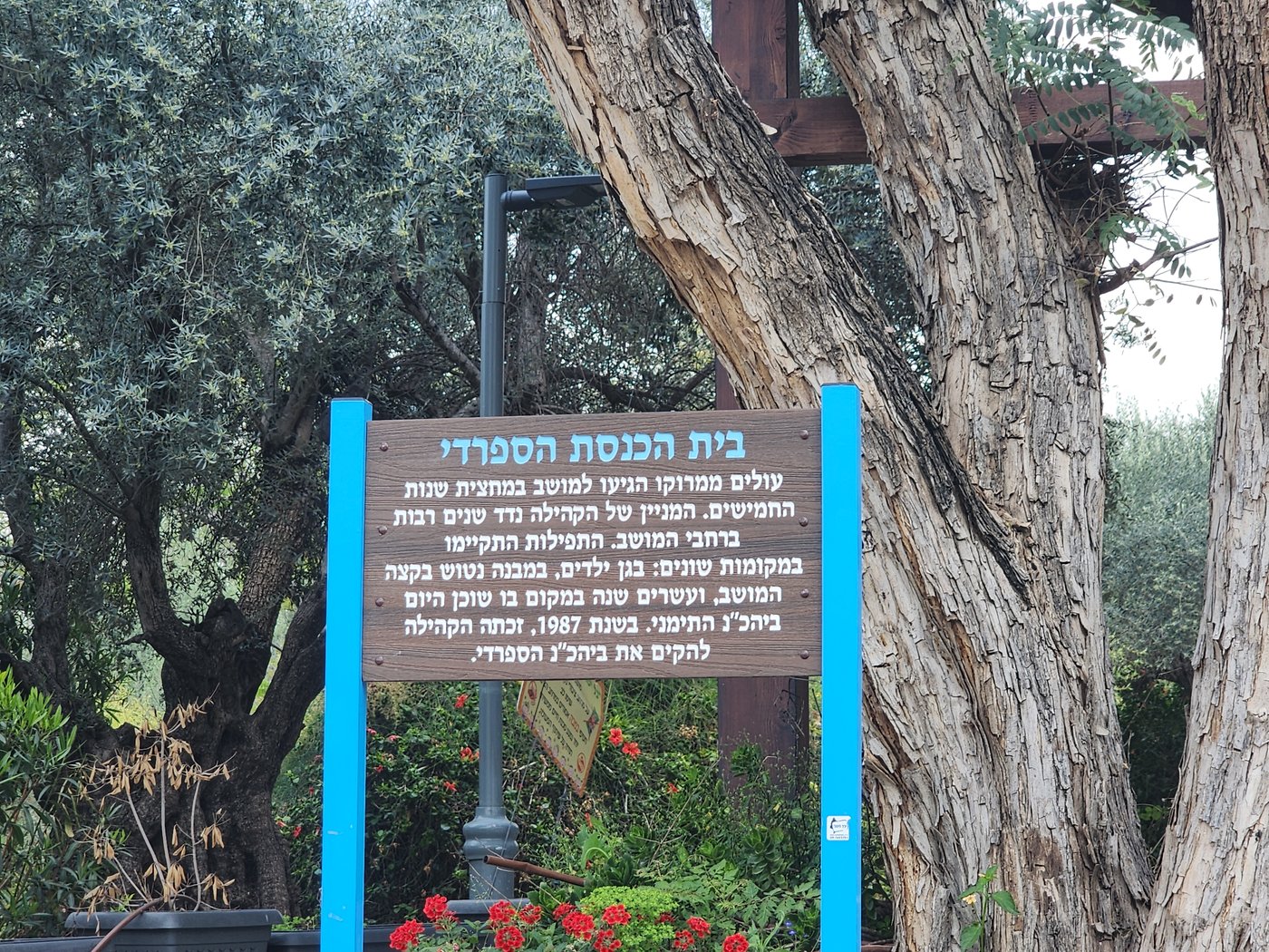 'מעלות יהונתן' - תצפית השנים מתל גמזו