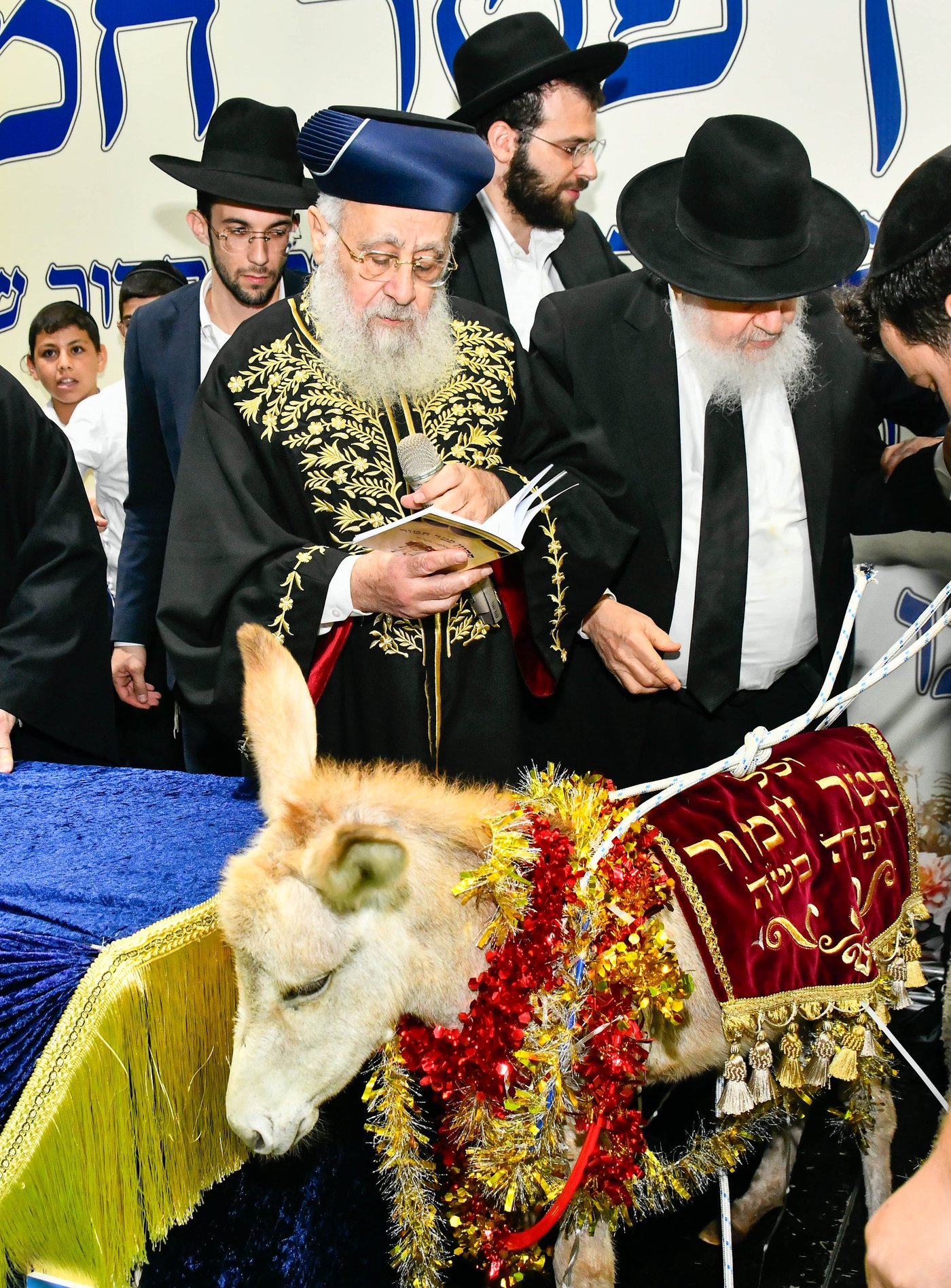 מעמד פדיון 'פטר חמור' בקהילת בית השם
