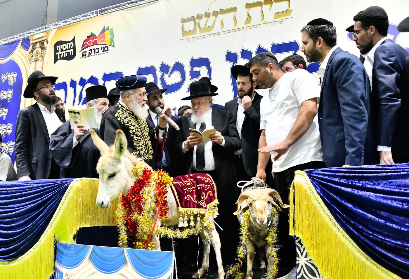 מעמד פדיון 'פטר חמור' בקהילת בית השם
