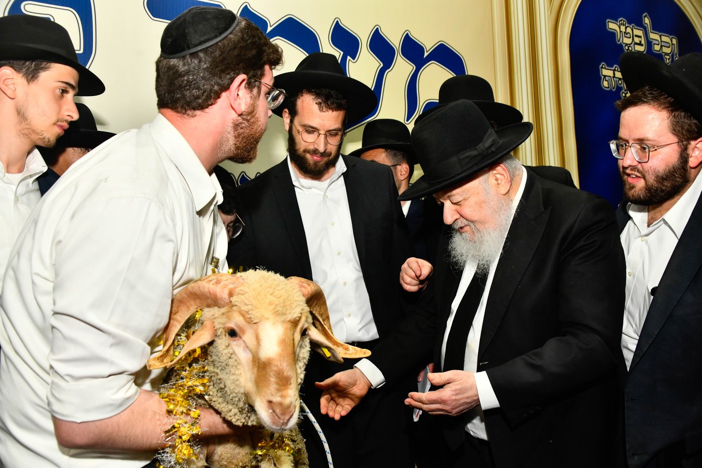 מעמד פדיון 'פטר חמור' בקהילת בית השם