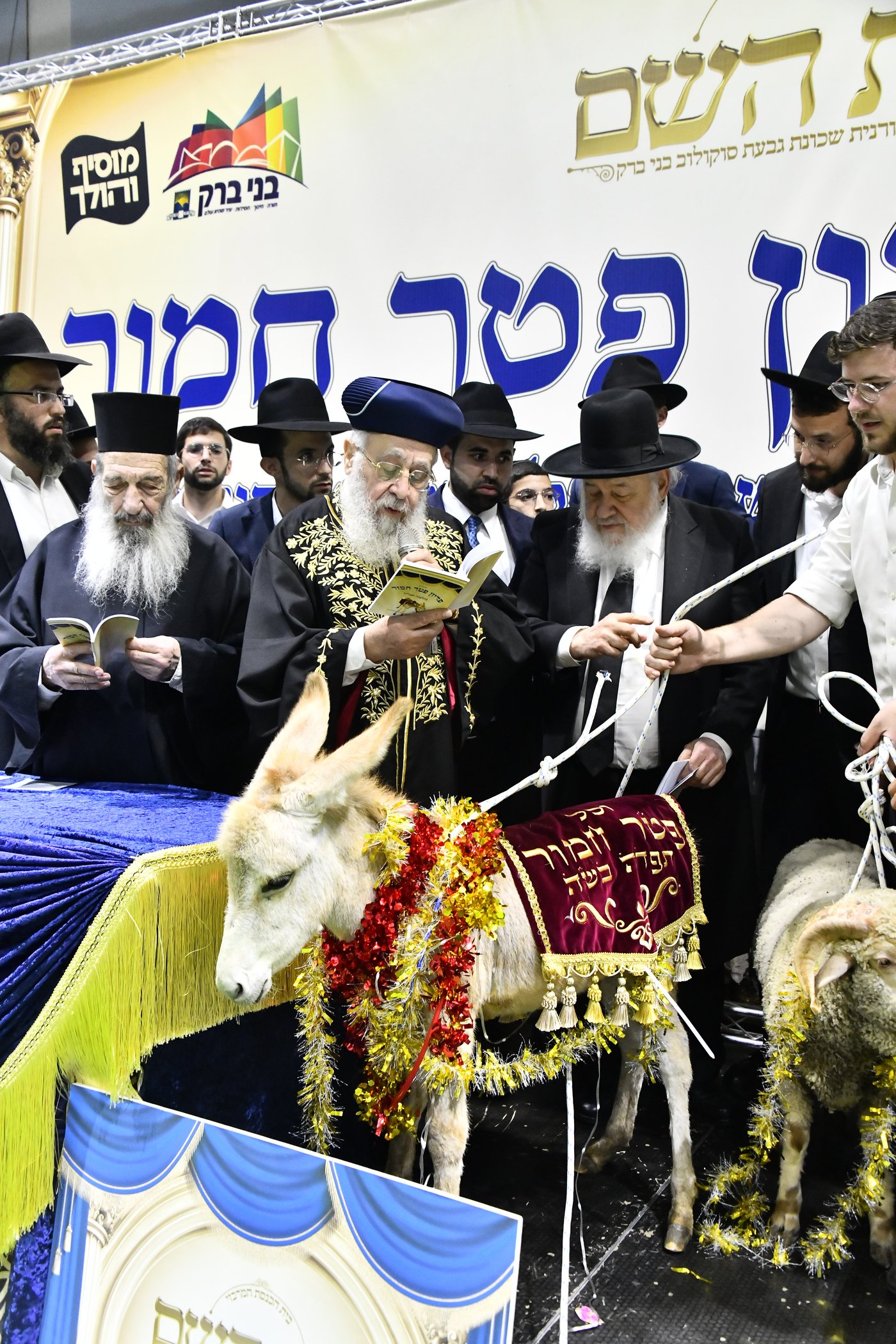 מעמד פדיון 'פטר חמור' בקהילת בית השם