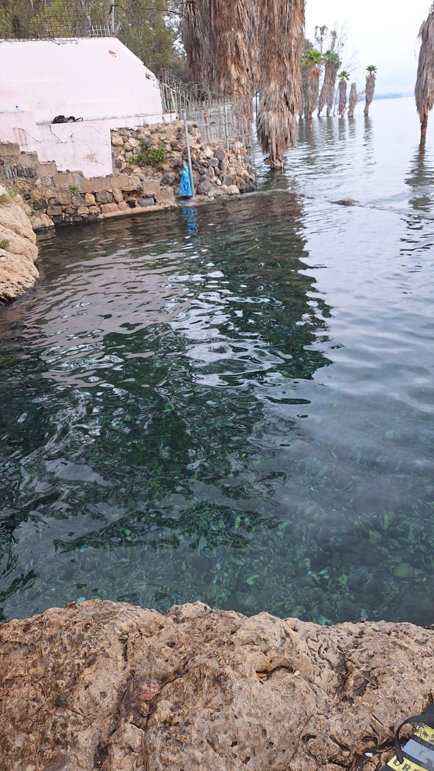 מעין עין ימק"א בתקופות יותר טובות מימינו | הובא בספר 'המקומות הנדירים הקדושים והרטובים בארץ ישראל'