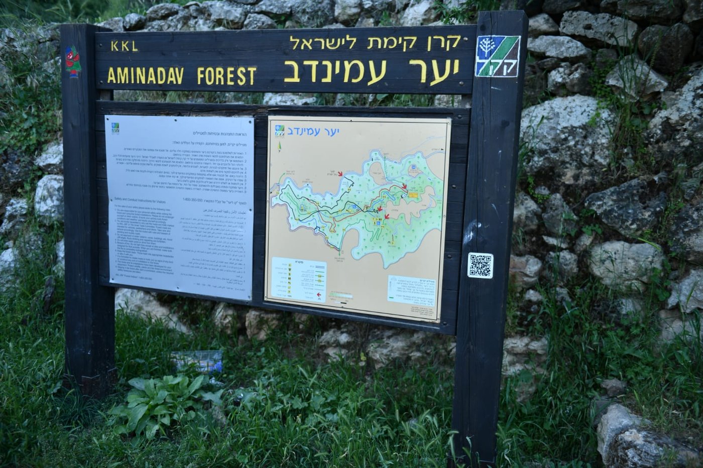 רגע לפני הטיול: הצצה אל השליטה בטבע הארצי-ישראלי - כפי שלא הכרתם