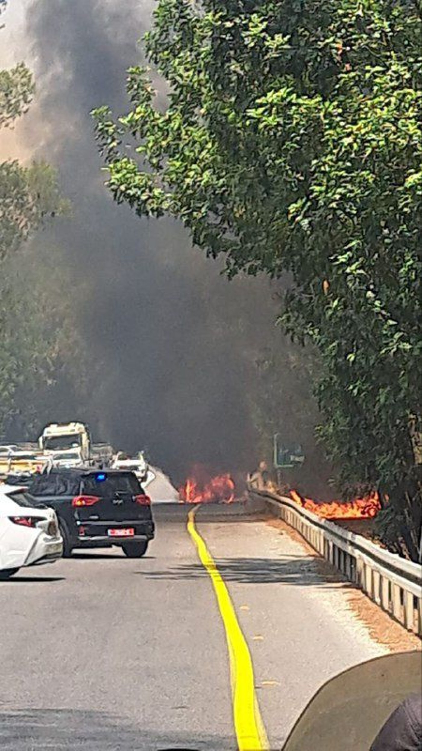 השריפה ביער אשתאול