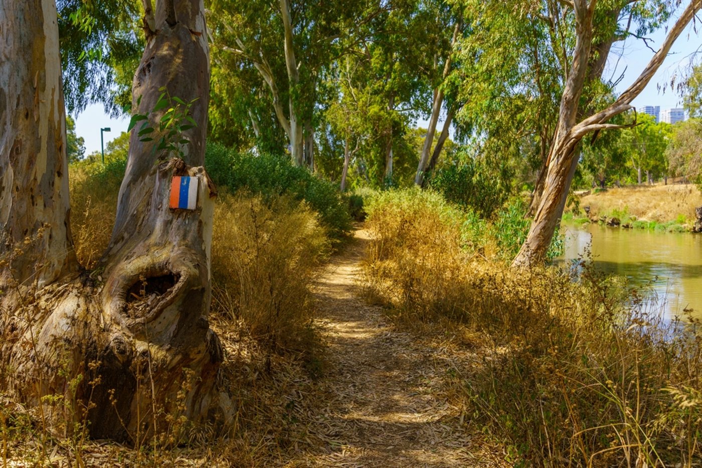 עובר גם בפארק הירקון בלב הארץ