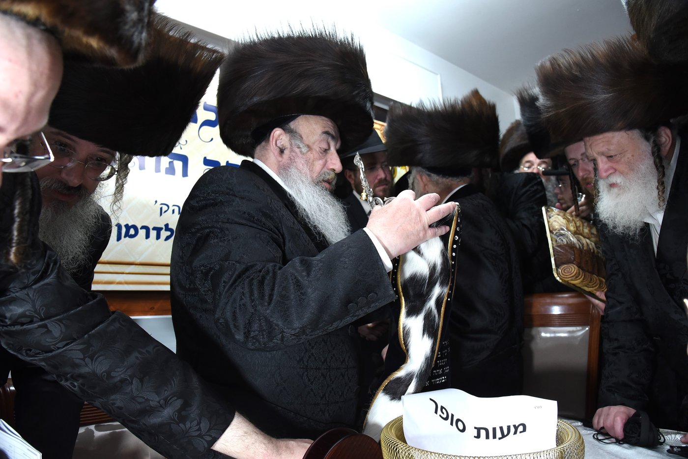 הכנסת ספר תורה לע"נ האברך הקדוש הרב אלתר שלמה לדרמן הי"ד