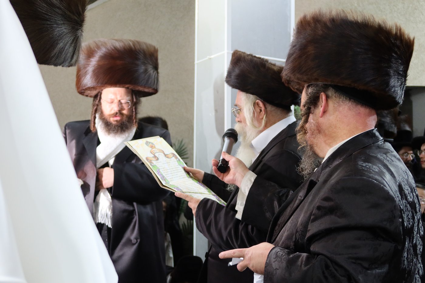 שמחת נישואי נכד האדמו"ר מנאדבורנה באניא