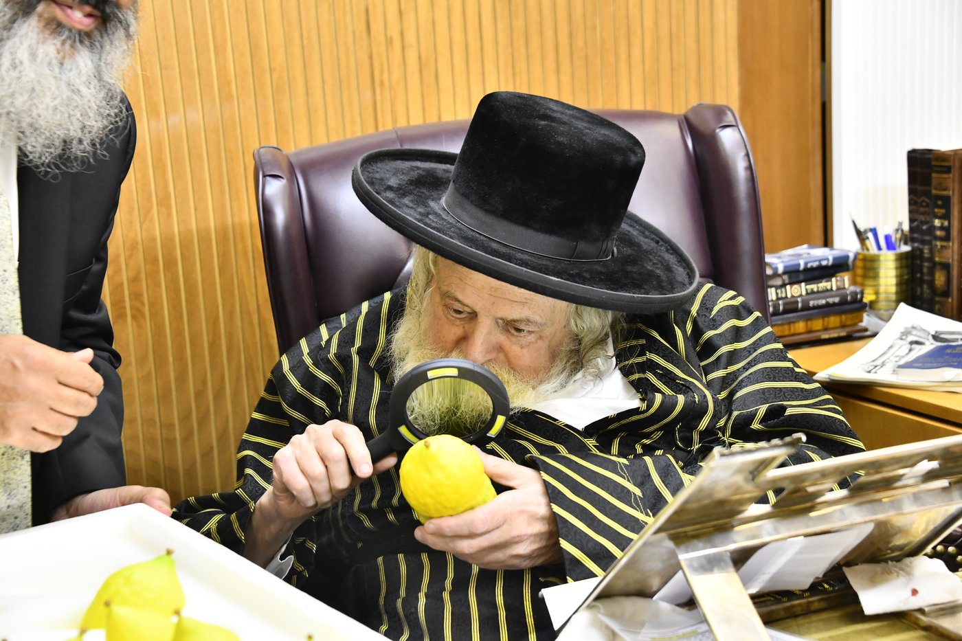 האדמו"ר מתולדות אברהם יצחק בודק אתרוגים