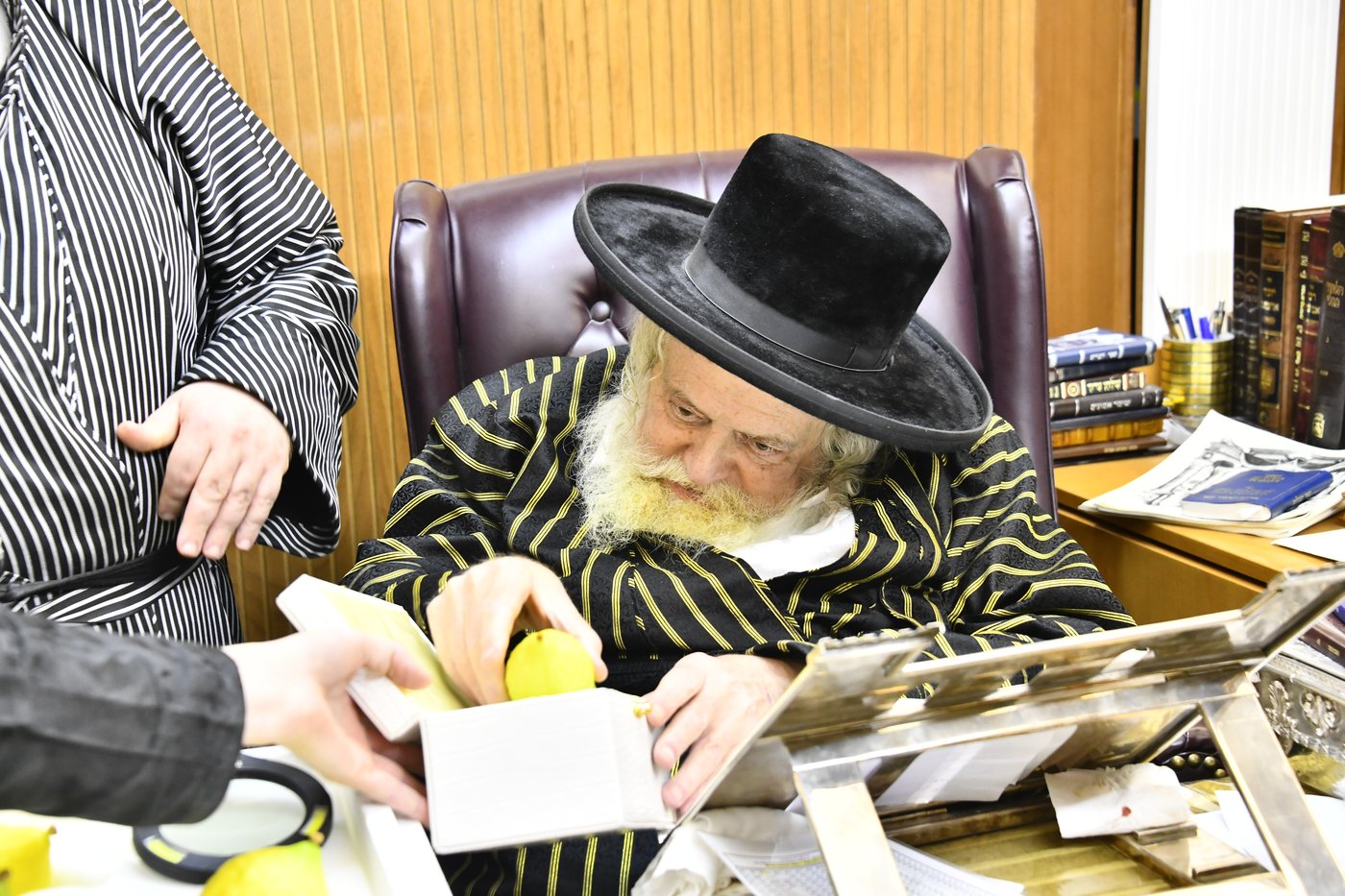 האדמו"ר מתולדות אברהם יצחק בודק אתרוגים