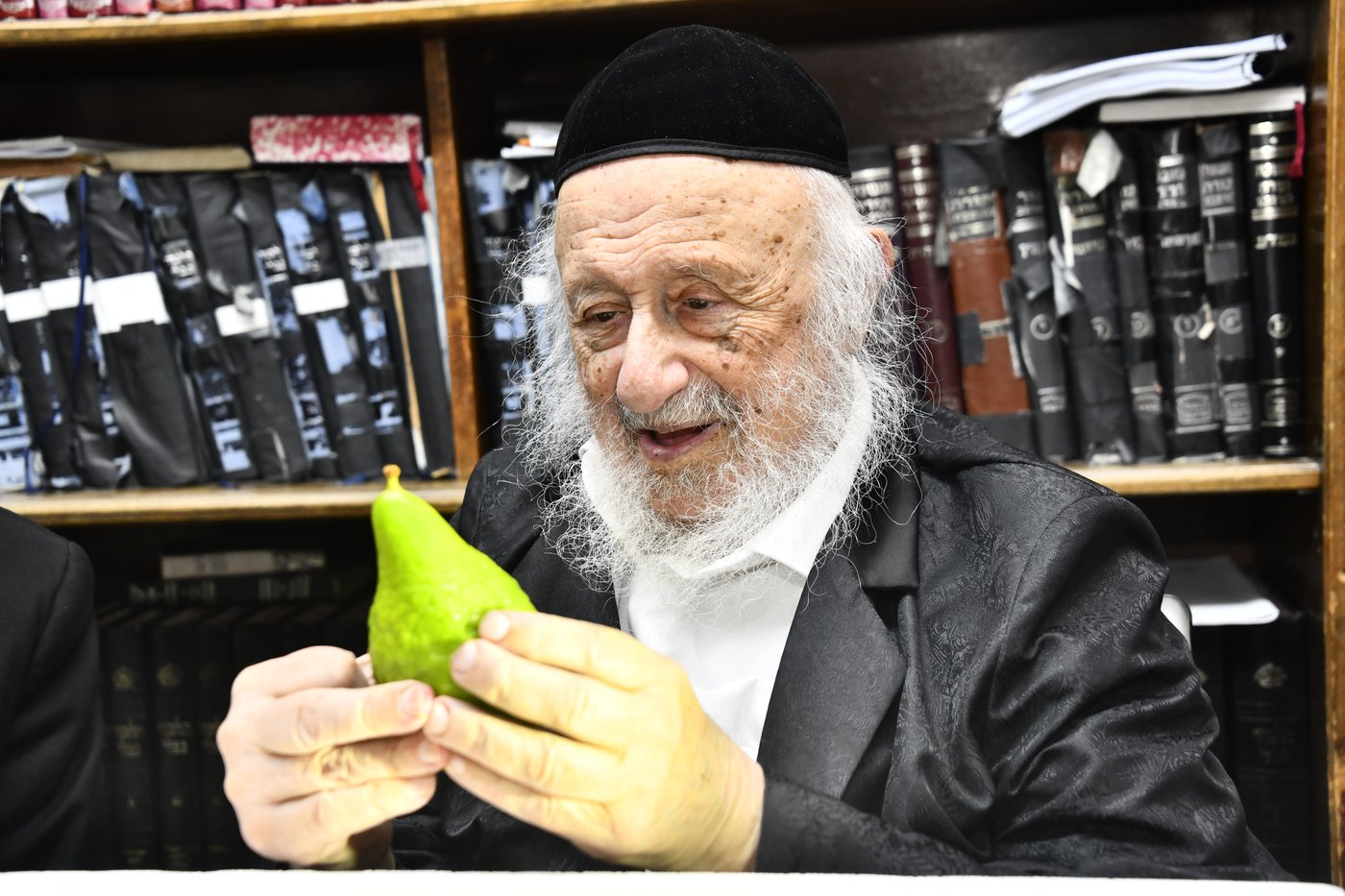 הגאון רבי ברוך דב פוברסקי בבדיקת אתרוגים