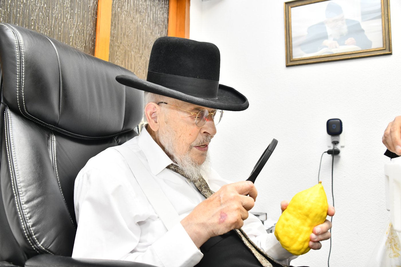 הגאון רבי יצחק אזרחי בבדיקת אתרוגים