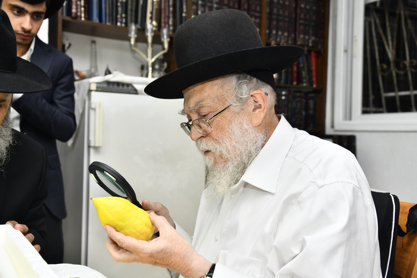 הגר"מ אלישיב בבדיקת אתרוגים