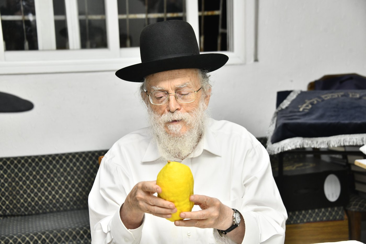 הגר"מ אלישיב בבדיקת אתרוגים