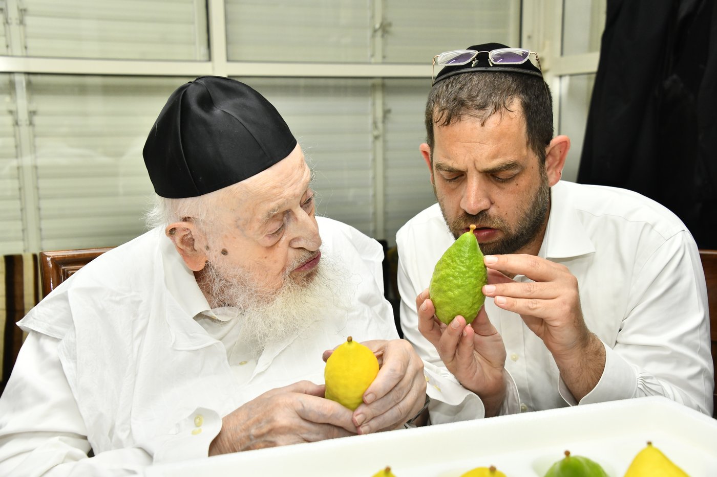 הגאון רבי מאיר צבי ברגמן בודק אתרוגים