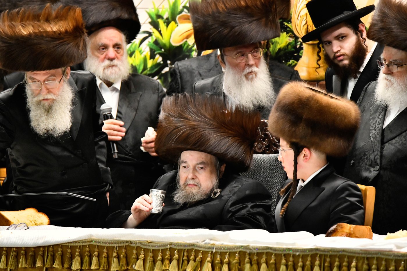 שמחת בר המצווה לנכד האדמו"ר מבעלזא