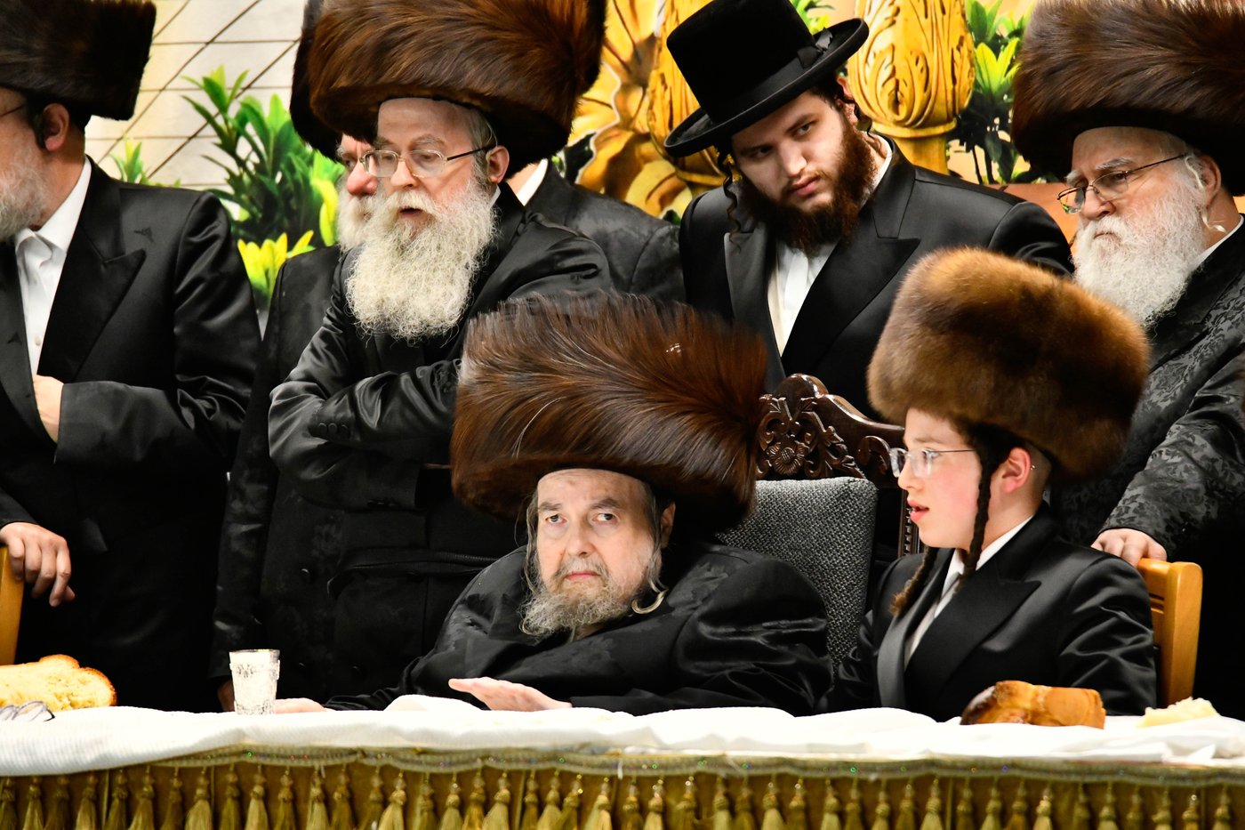 שמחת בר המצווה לנכד האדמו"ר מבעלזא