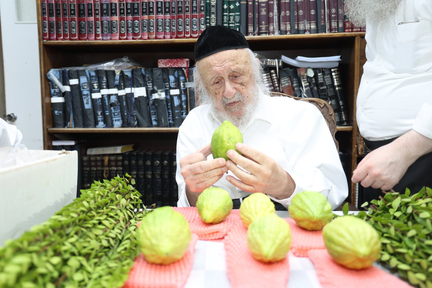 הגרב"ד פוברסקי בבחירת ד' מינים