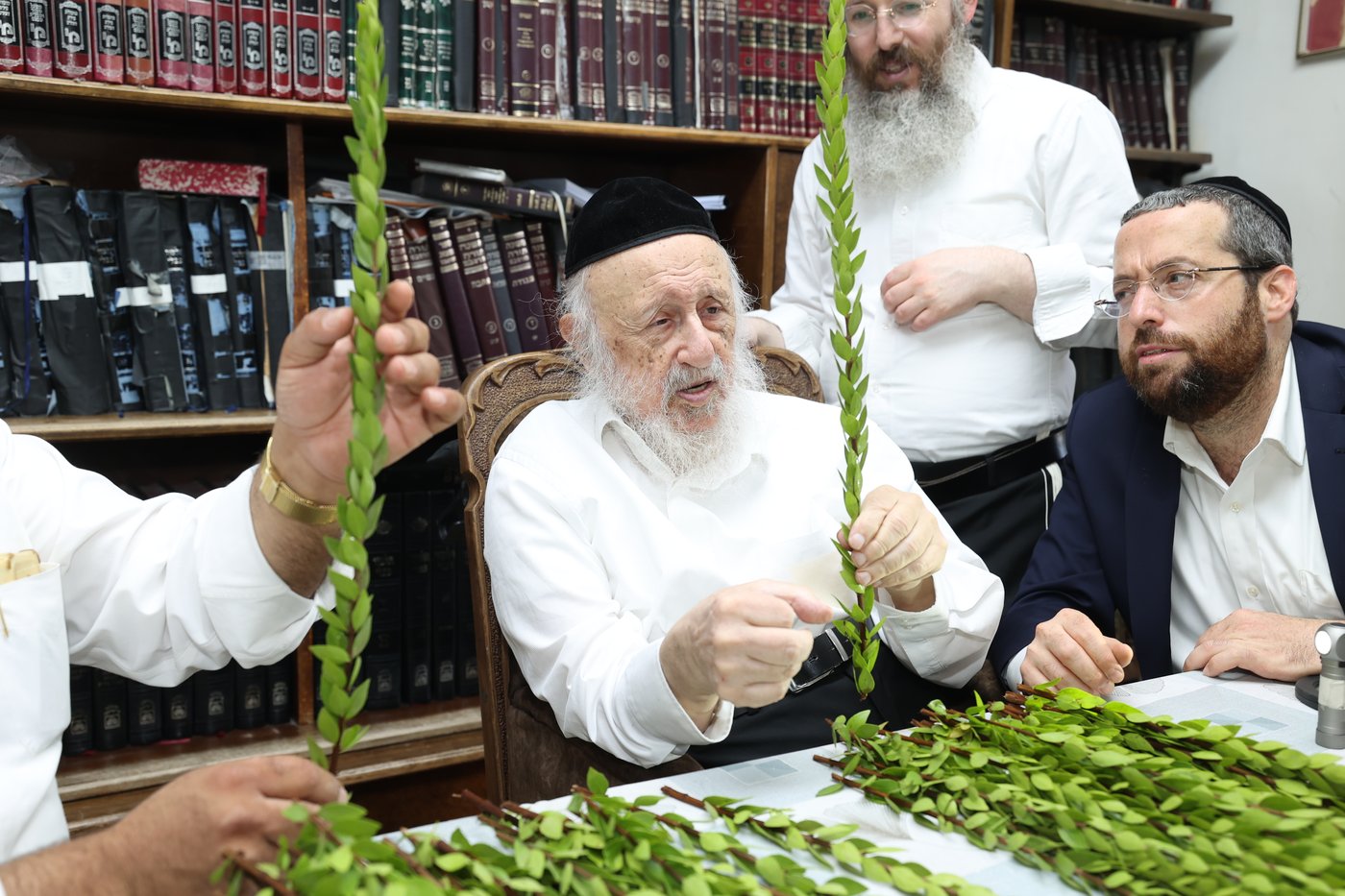 הגרב"ד פוברסקי בבחירת ד' מינים