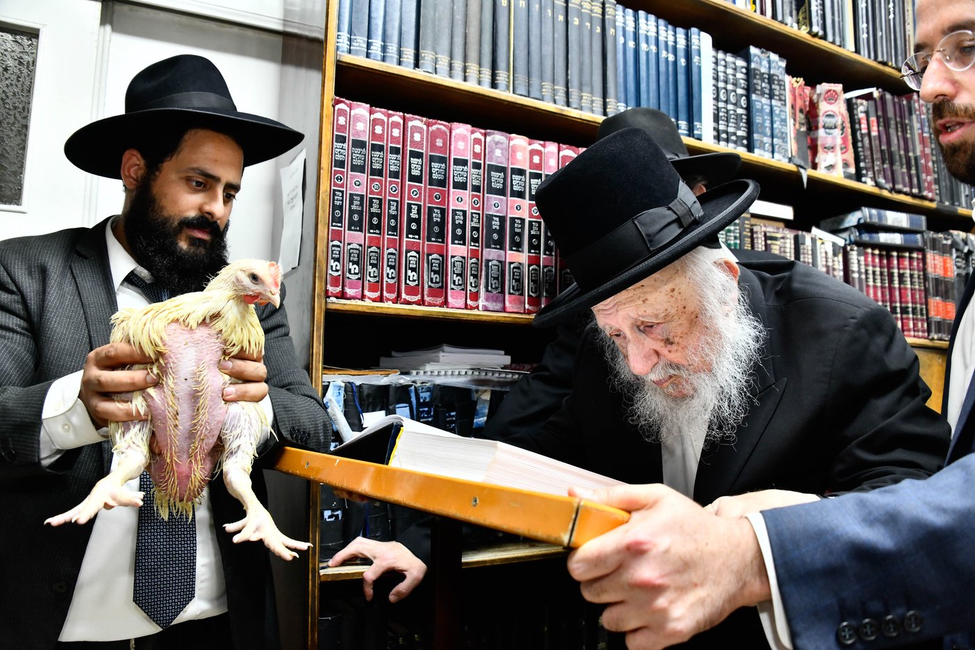 הגרב"ד פוברסקי במנהג כפרות 