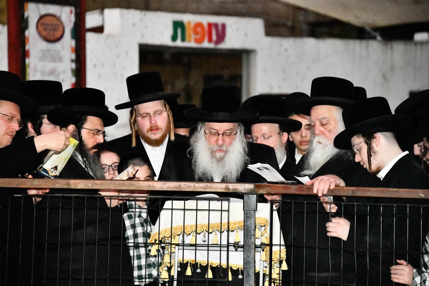 תשליך בחצה"ק נדבורנה
