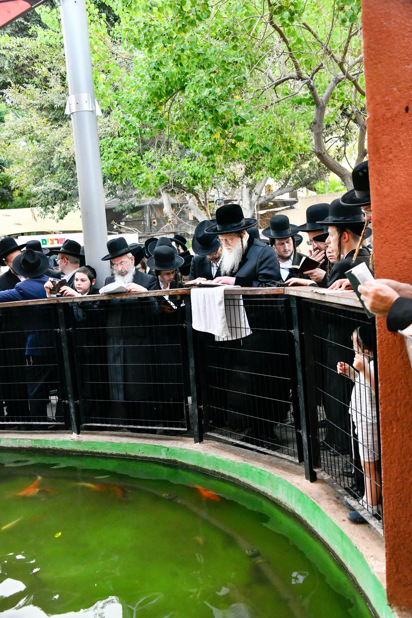 האדמו"ר ממודז'יץ במעמד תשליך