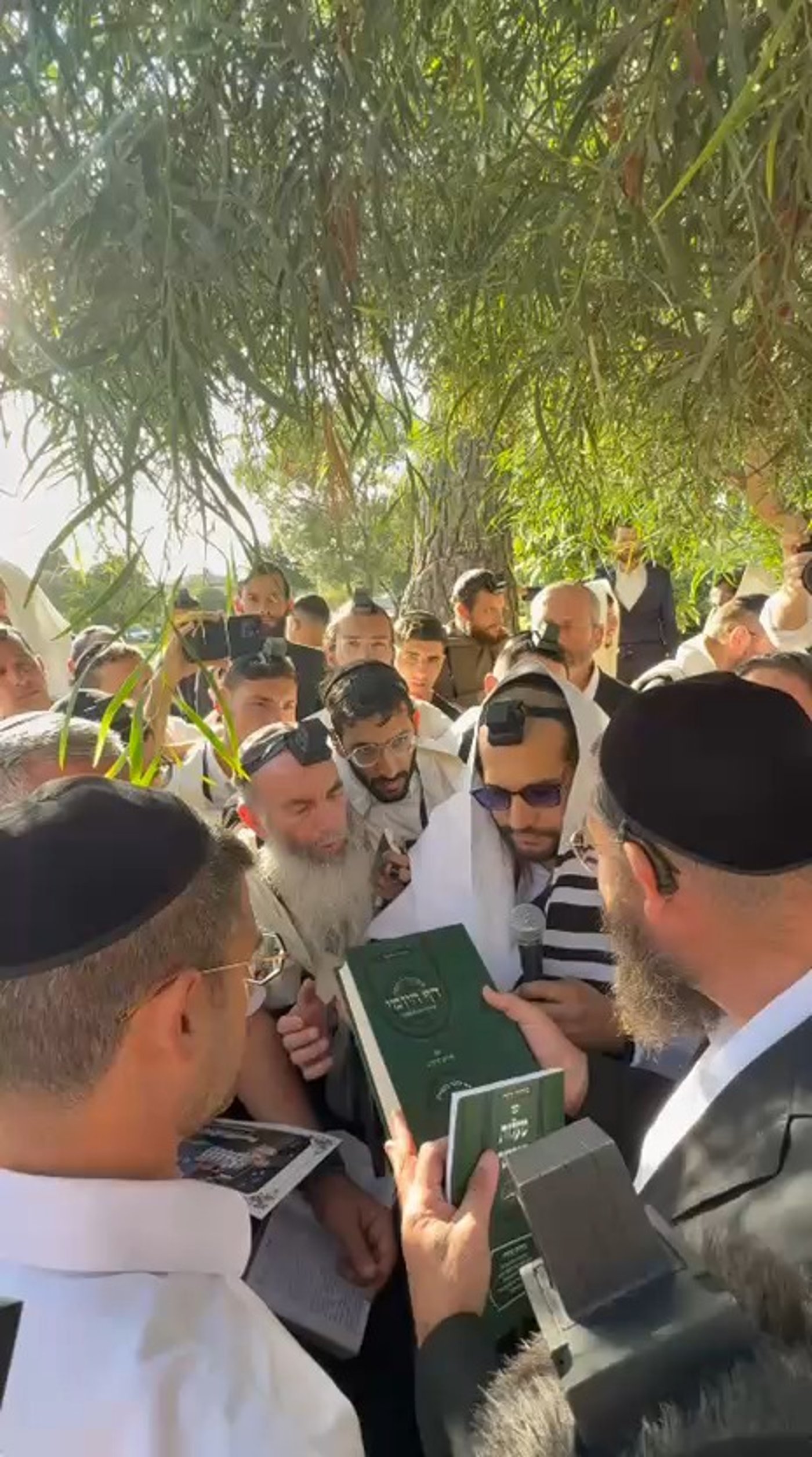 ר' שמוליק הלפרין עם הינוקא