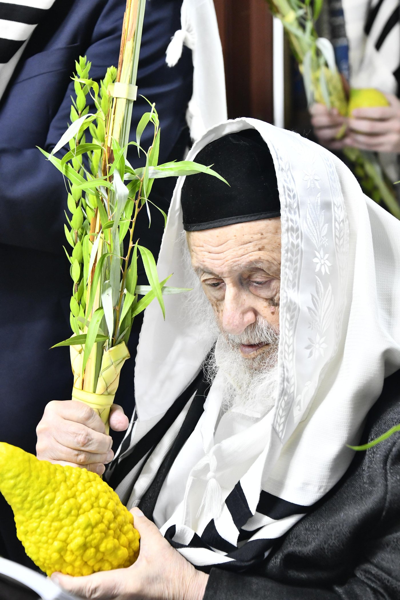 הגרב"ד פוברסקי בנטילת לולב