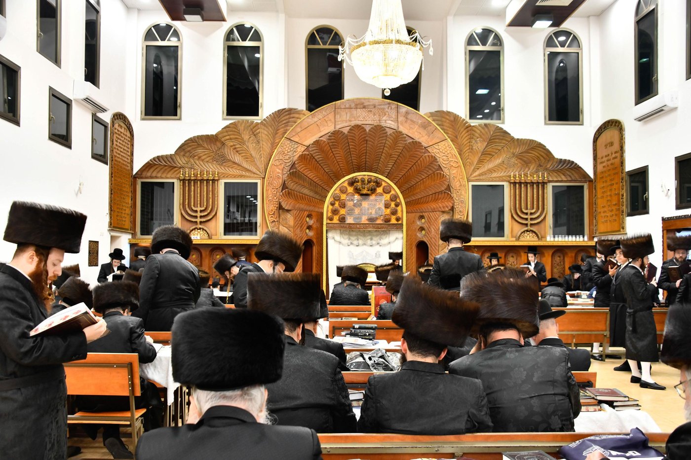 האדמו"ר מפרמישלאן בקריאת משנה תורה