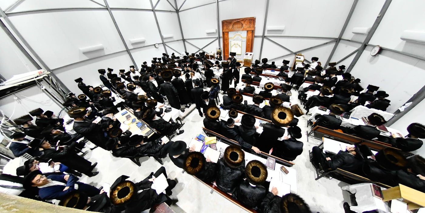 ליל הושענא רבה בחצה"ק זוטשקא