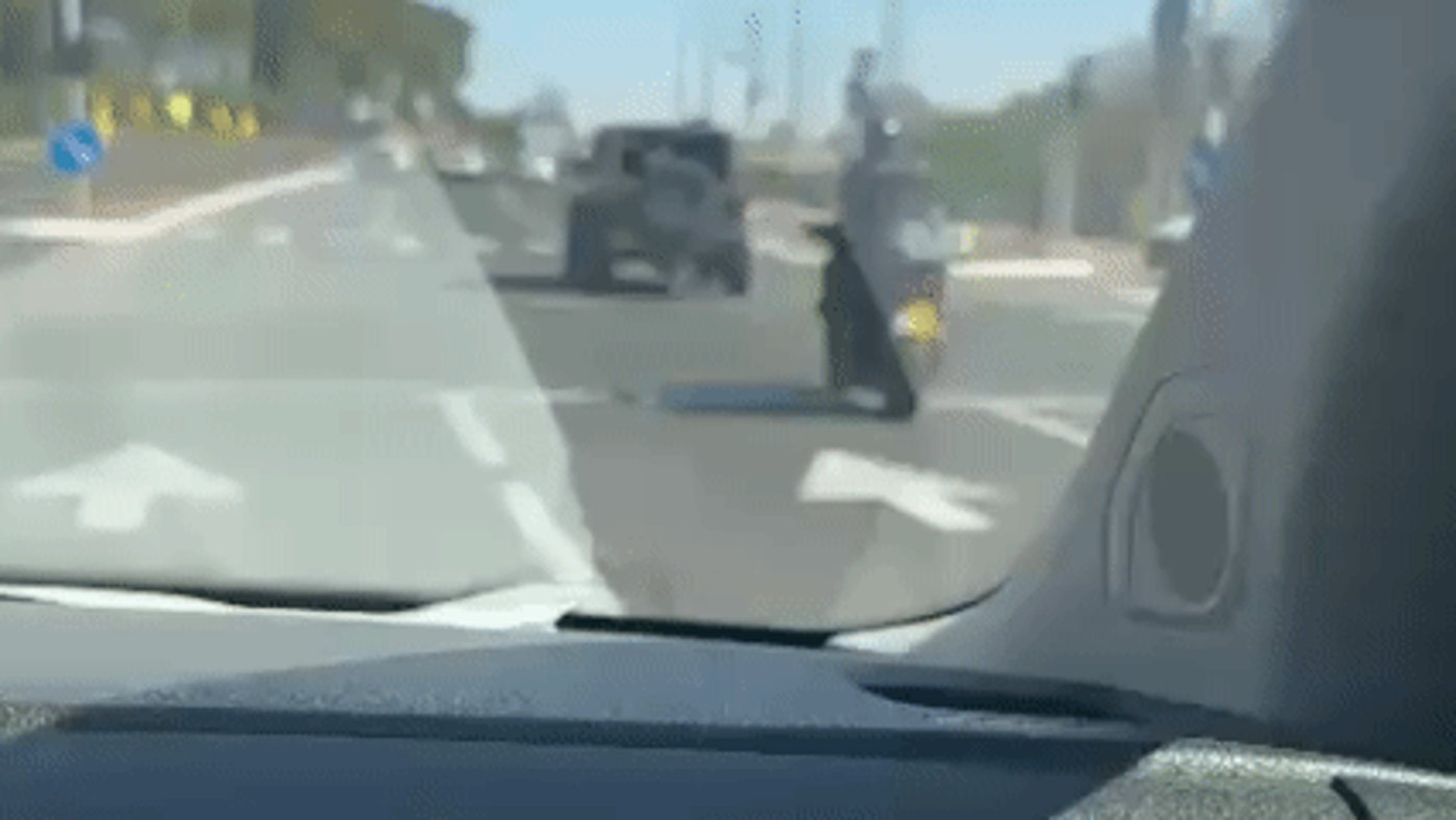 דרמה בכביש 443: שלושה נפצעו קשה, נקבע מוות על שני בני אדם