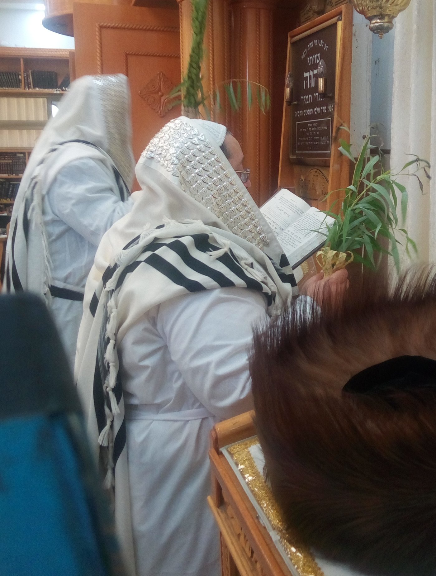 ירח האיתנים בחצה"ק צאנז ז'מיגראד